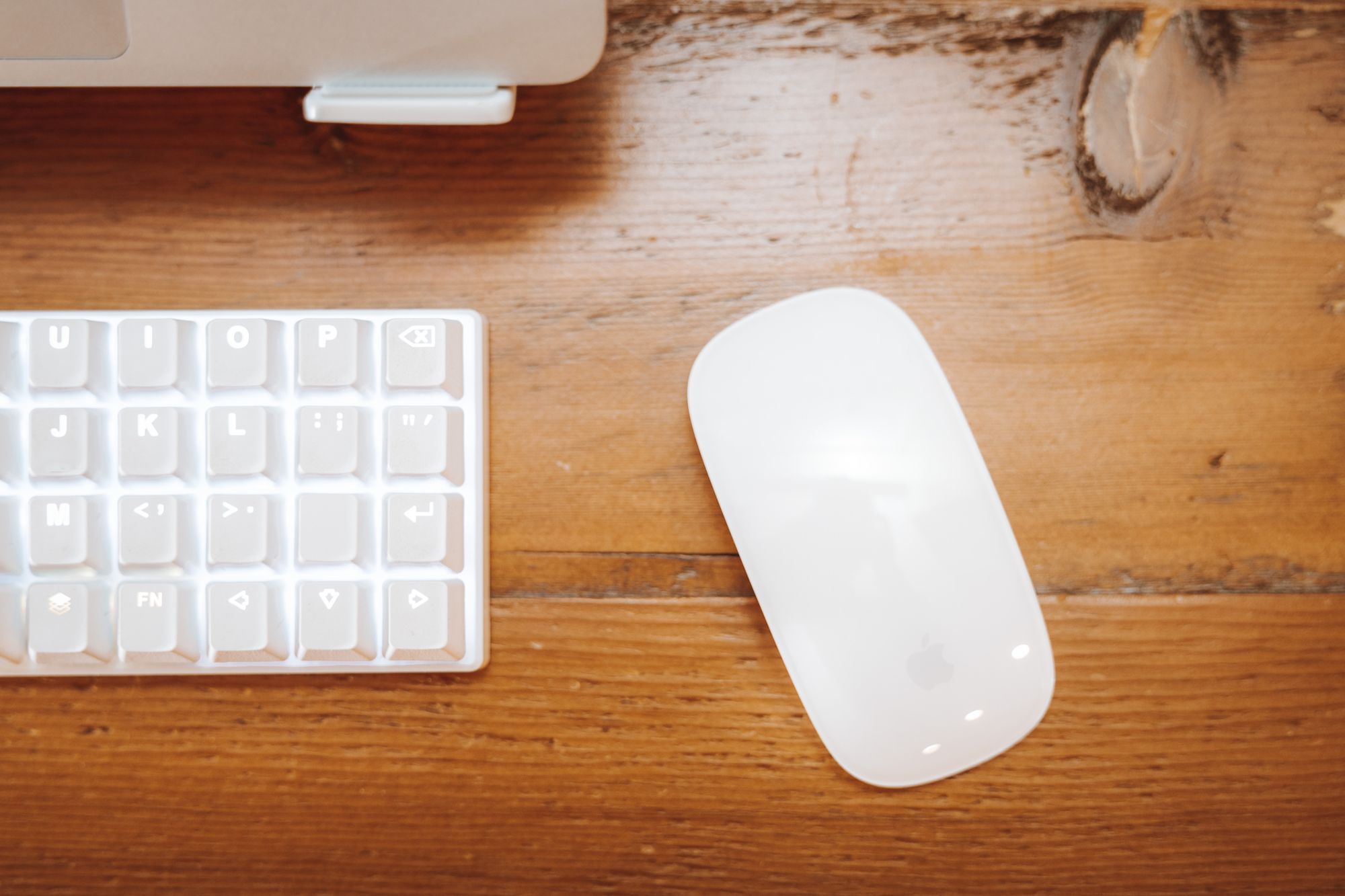 A Short Love Letter to the Magic Mouse - The Newsprint