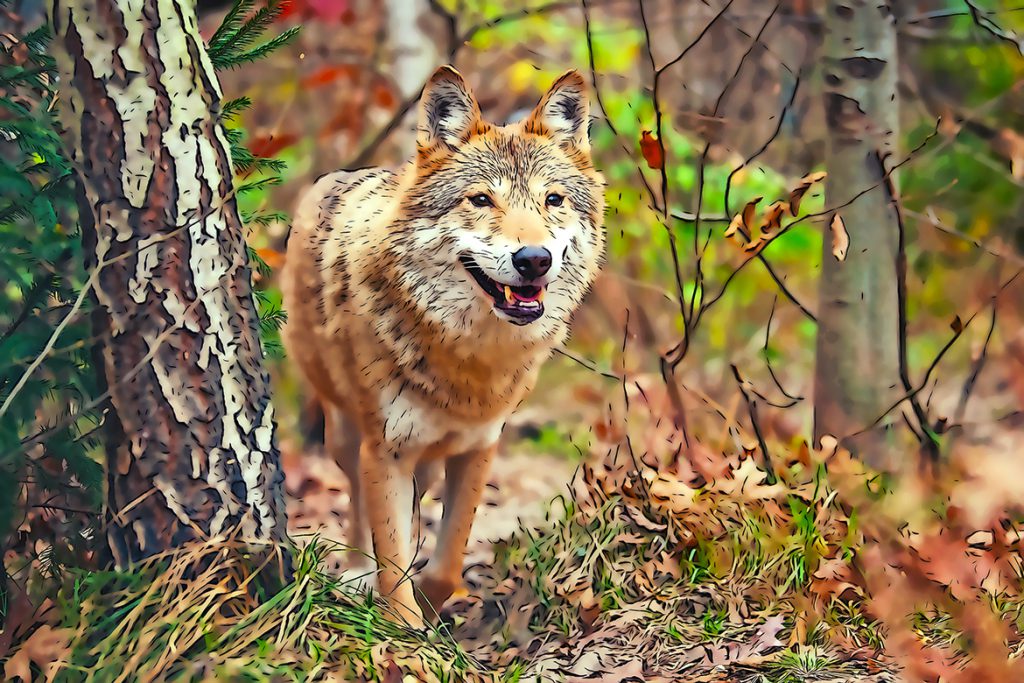 0_5-1024x683-1 Cartoon Photoshop Action – Chuyển ảnh thật sang ảnh vẽ hoạt hình