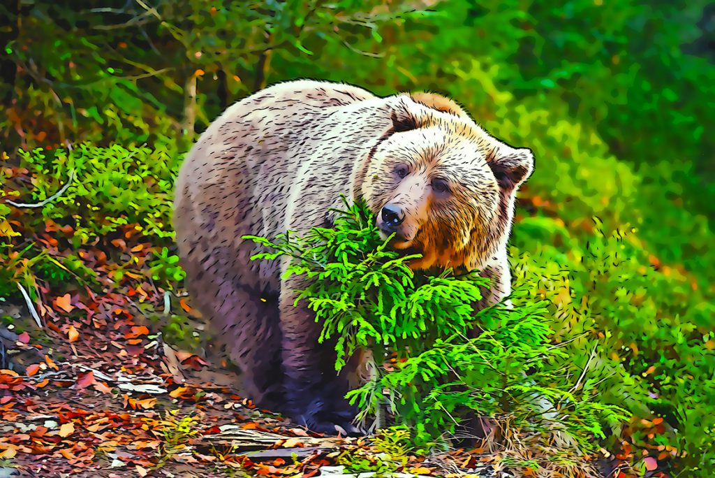 0_9-1024x684-1 Cartoon Photoshop Action – Chuyển ảnh thật sang ảnh vẽ hoạt hình