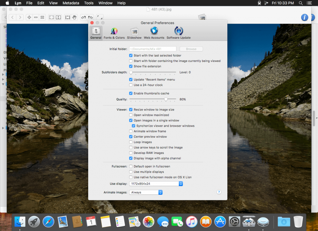 1504294974_lyn_03-1024x746-1 1504294974 lyn 03 1024x746 1