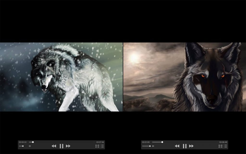 1628224324 zfuse pro 01 1024x640 1