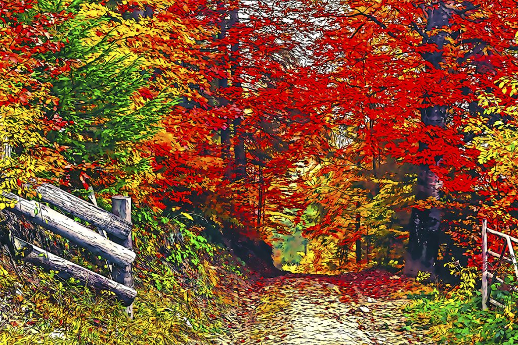 1_2-1024x683-1 Cartoon Photoshop Action – Chuyển ảnh thật sang ảnh vẽ hoạt hình