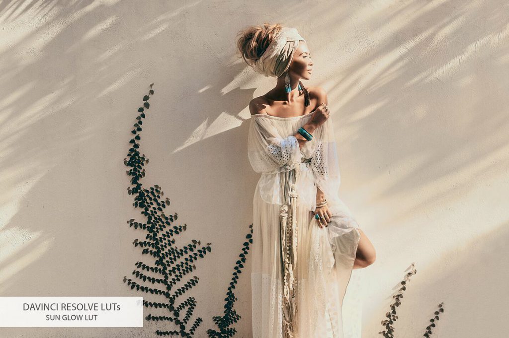 Davinci Resolve LUTs – Bộ 20 Luts màu đẹp