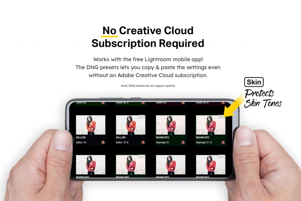 50 Ashes Lightroom Presets and LUTs – 50 Preset, LUTS chỉnh màu đẹp