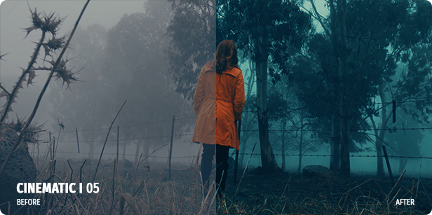 700 Film Looks – LUT Color Preset Pack – Bộ Luts đẹp từ Videohive