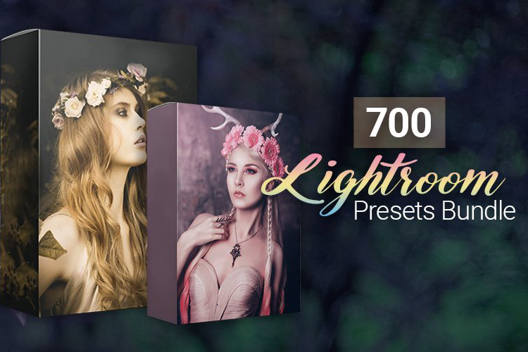 700 Amazing Lightroom Presets Bundle từ Inkydeals – 23 bộ preset chỉnh sửa ảnh cực đẹp dành cho Lr 700 Amazing Lightroom Presets Bundle từ Inkydeals – 23 bộ preset chỉnh sửa ảnh cực đẹp dành cho Lr