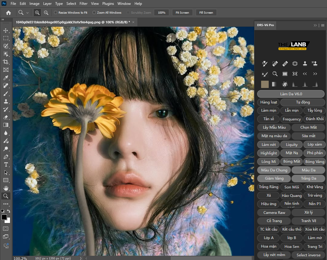 Delicious Retouch Panel 6.0 Việt Hoá Photoshop Dễ Sử Dụng MAC