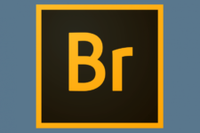 Adobe Bridge CC 2019 – Công cụ quản lý ảnh của Adobe