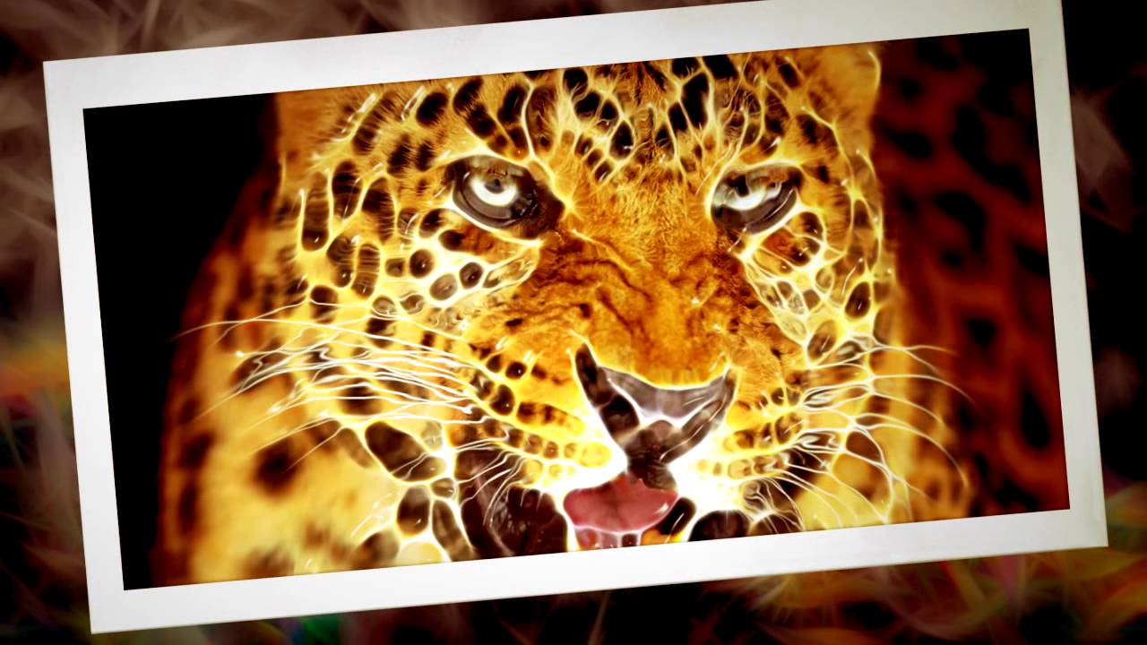 AKVIS Neon – Plugin tạo hiệu ứng ánh sáng cho ảnh