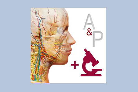 Anatomy & Physiology – Phần mềm giải phẫu học