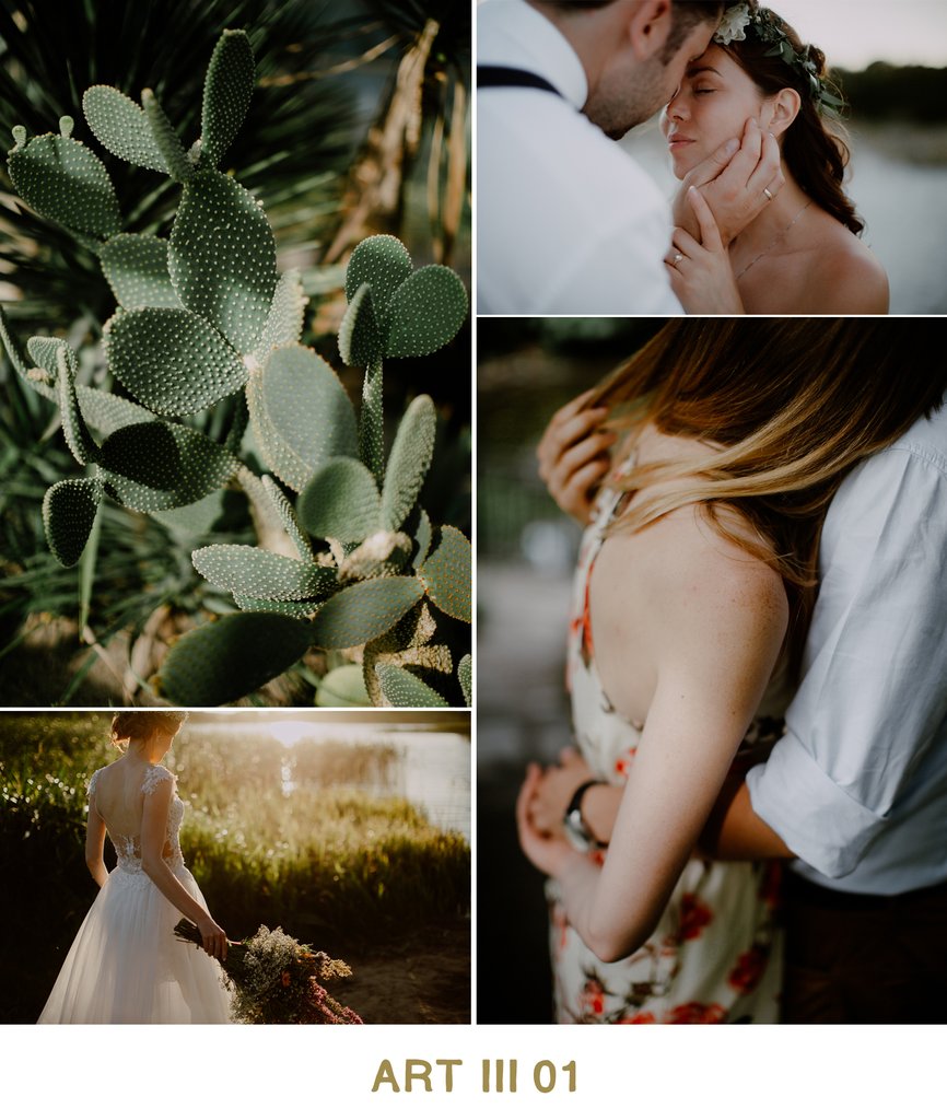 Vivid Presets – ART III COLLECTION – Bộ Preset màu giá 35$ [Lightroom]