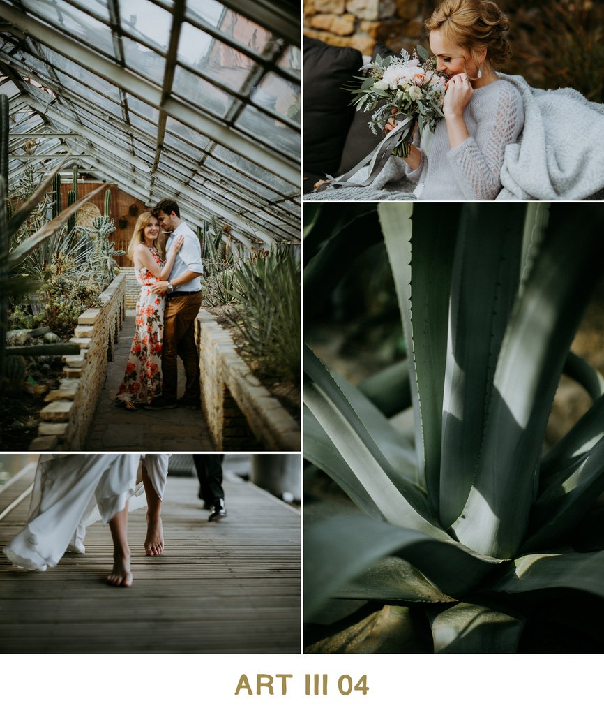 Vivid Presets – ART III COLLECTION – Bộ Preset màu giá 35$ [Lightroom]