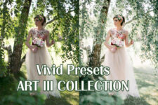 Vivid Presets – ART III COLLECTION – Bộ Preset màu giá 35$ [Lightroom]