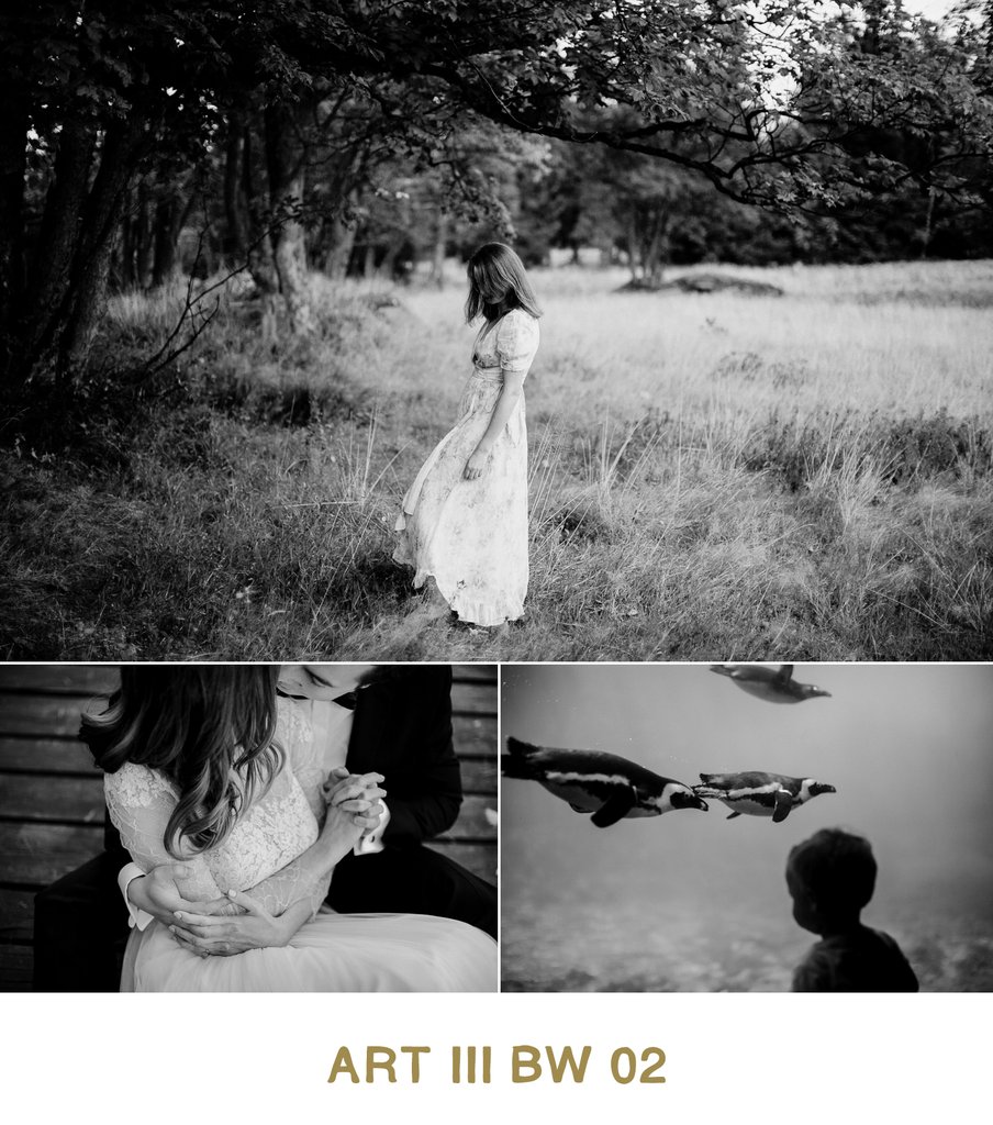 Vivid Presets – ART III COLLECTION – Bộ Preset màu giá 35$ [Lightroom]