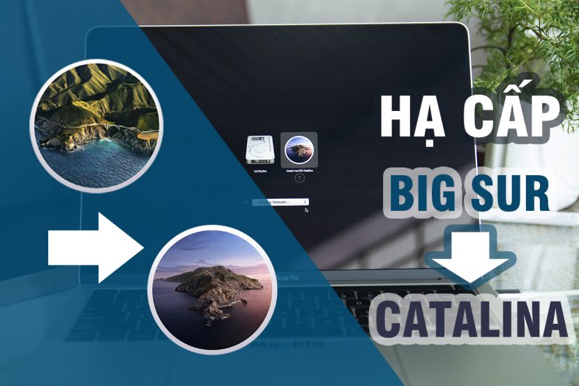 Hướng dẫn Downgrade (hạ cấp) từ macOS Big Sur xuống Catalina hoặc thấp hơn Hướng dẫn Downgrade (hạ cấp) từ macOS Big Sur xuống Catalina hoặc thấp hơn
