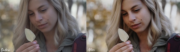 BLUELUTS Pack 3 The Cine LUTs – Bộ LUTS chỉnh màu cho Final Cut và Premiere