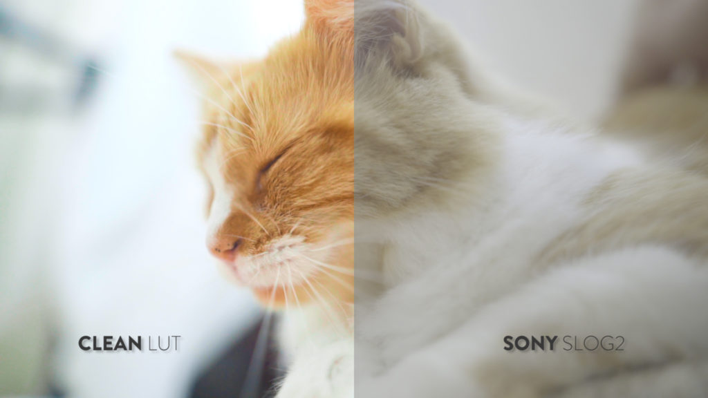 Bounce Color Clean Corporate LUTs Pack – Sony SLOG2/3 TO REC709 CONVERSION LUTs