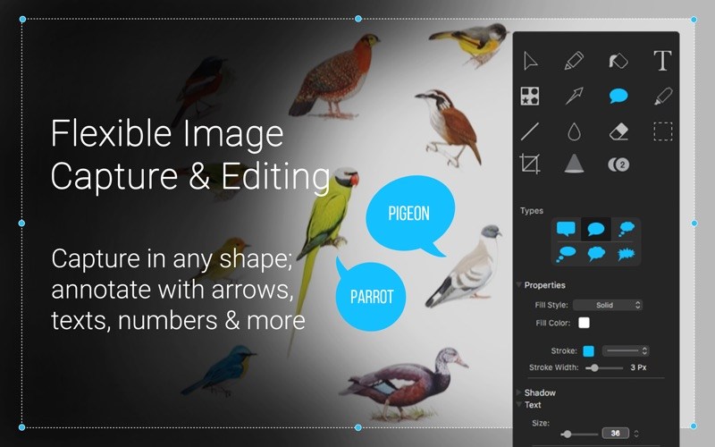 capto-download capto download