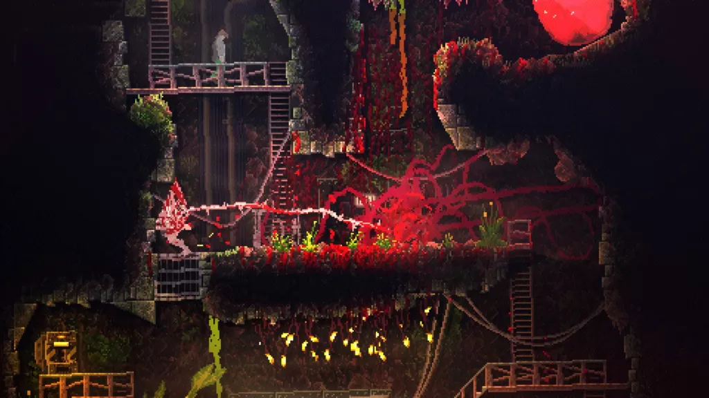 carrion pdvg 1024x576 1