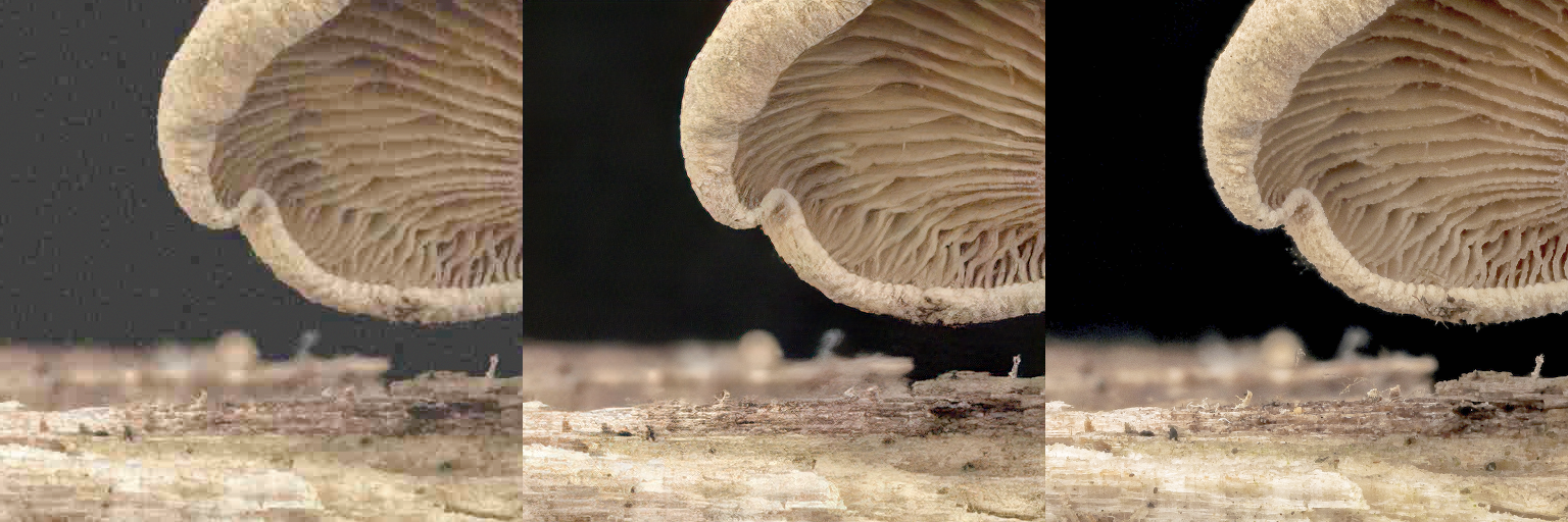 Topaz JPEG to RAW AI – Giúp bạn chỉnh sửa file JPEG như trên file RAW