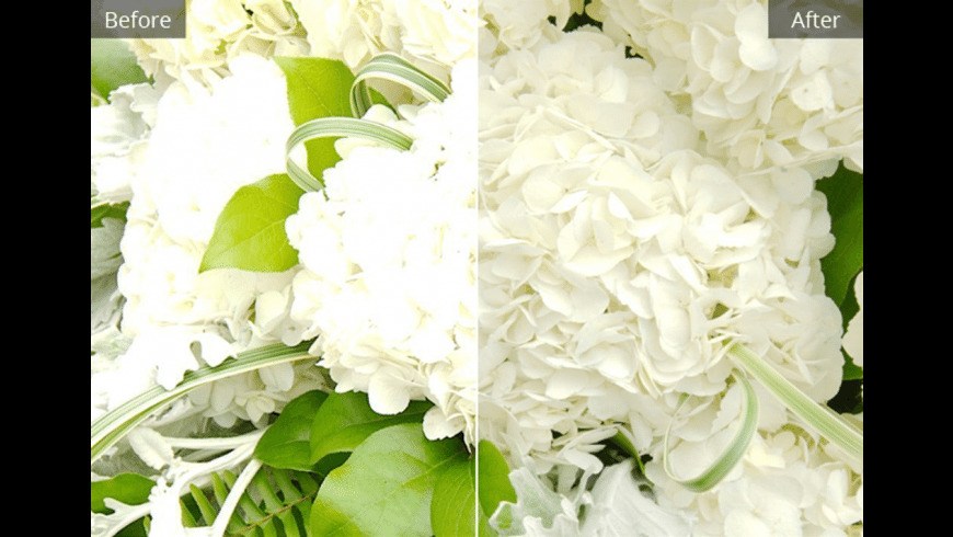 Corel Aftershot Pro – Trình quản lý, chỉnh sửa ảnh