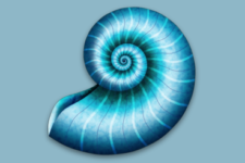 DEVONthink Personal – Tổ chức dữ liệu chuyên nghiệp