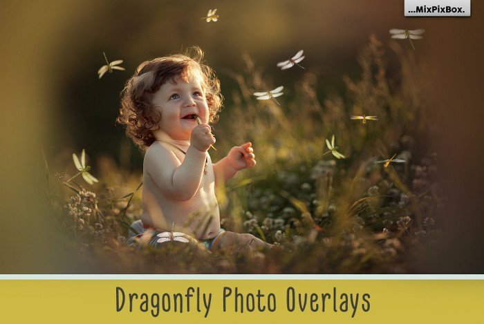 3900+ Photo Overlays – Bộ sưu tập hơn 3900 file Overlays nhiều chủ đề