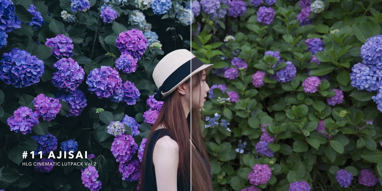 HLG CINEMATIC LUTPACK BUNDLE – 32 Lut màu đẹp