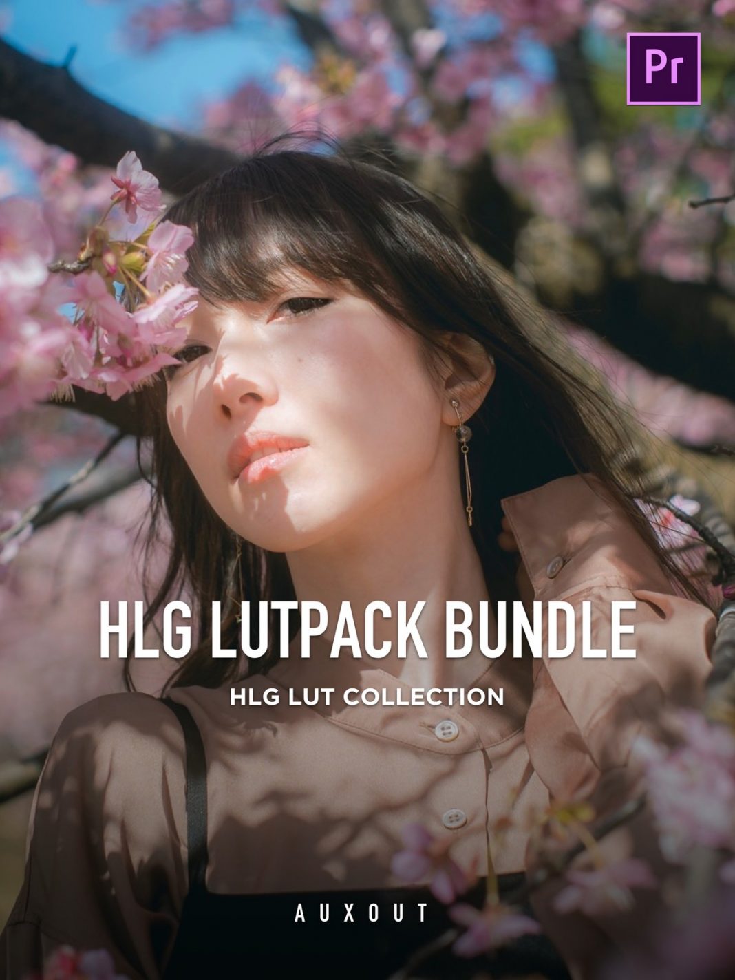 HLG CINEMATIC LUTPACK BUNDLE – 32 Lut màu đẹp