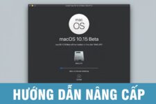 Hướng dẫn nâng cấp lên macOS 10.15 Catalina Beta