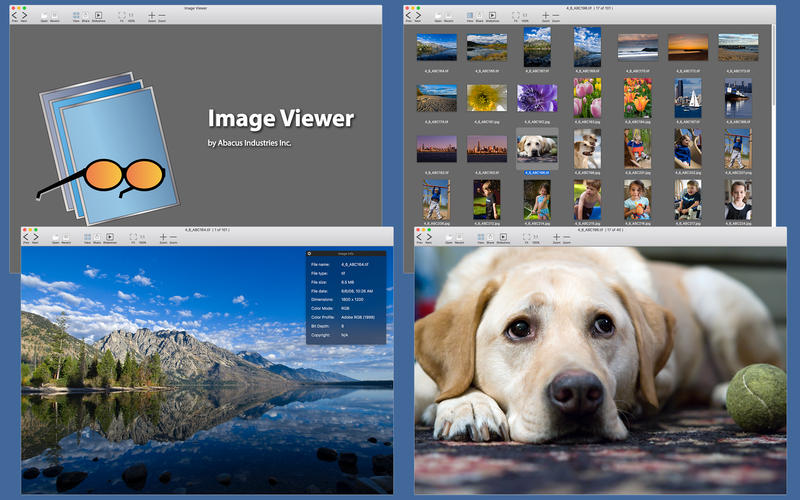 Image Viewer 2.0- Trình xem ảnh nhỏ gọn trên Mac