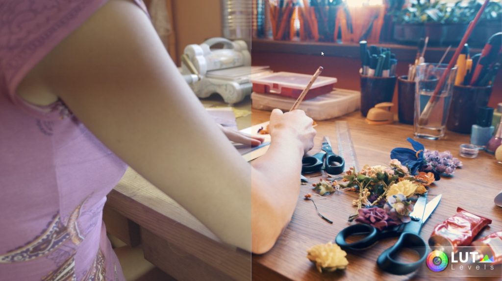 Levels LUT Video LUTs – Filtergrade – 140 LUTs màu đẹp