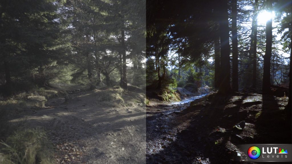 Levels LUT Video LUTs – Filtergrade – 140 LUTs màu đẹp