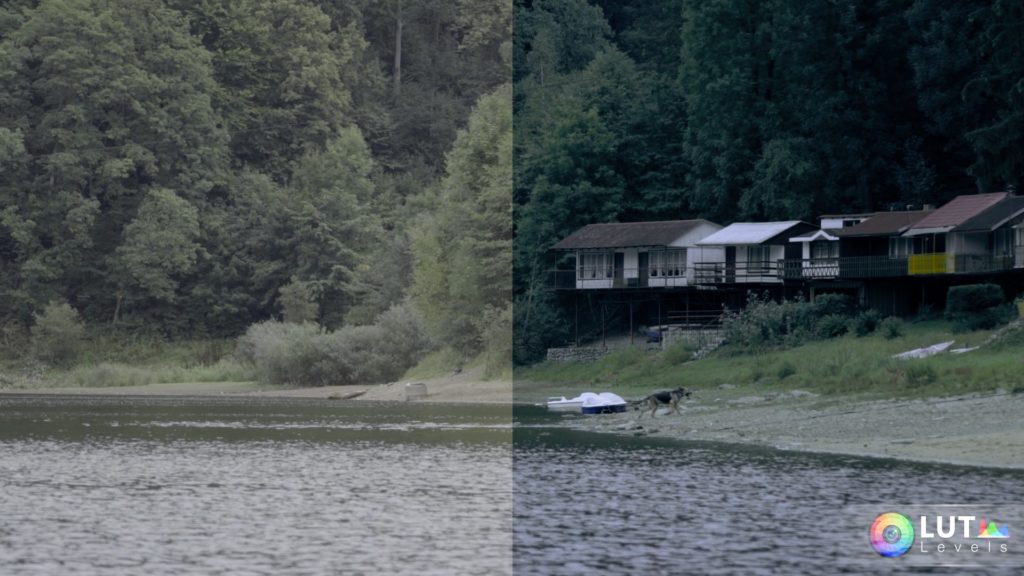 Levels LUT Video LUTs – Filtergrade – 140 LUTs màu đẹp