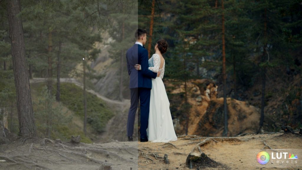 Levels LUT Video LUTs – Filtergrade – 140 LUTs màu đẹp