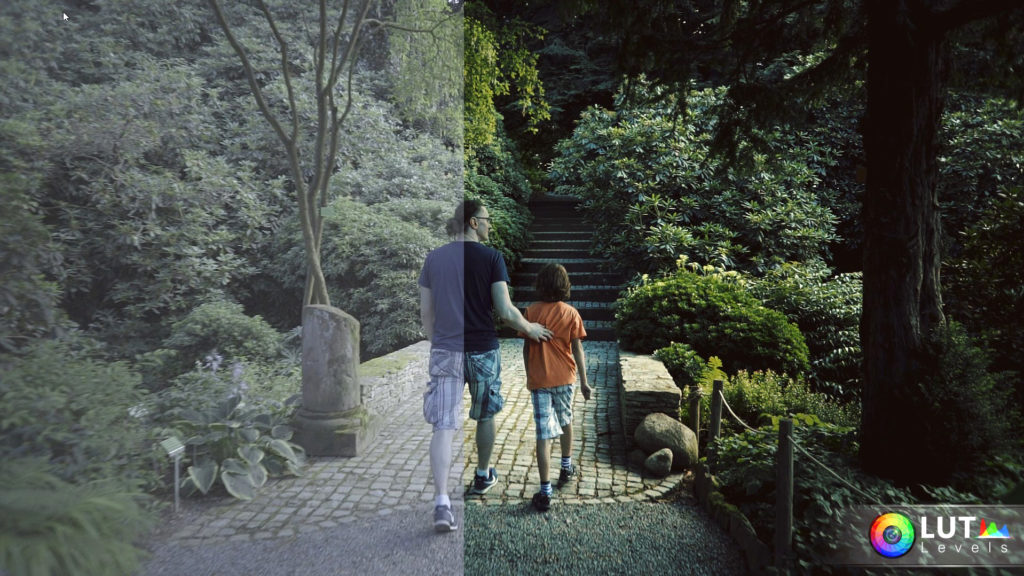 Levels LUT Video LUTs – Filtergrade – 140 LUTs màu đẹp