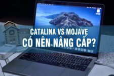 macOS Mojave 10.14 vs Catalina 10.15 – Có nên nâng cấp hay không?