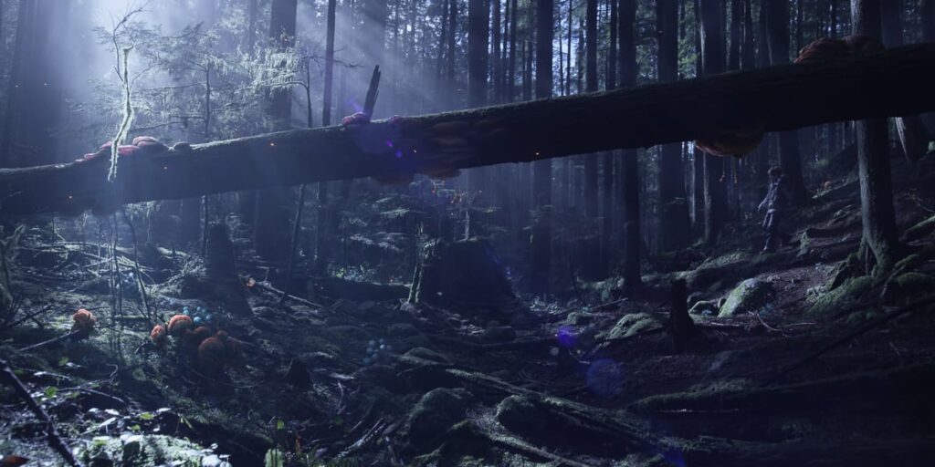 maya 2024 01 1024x512 1