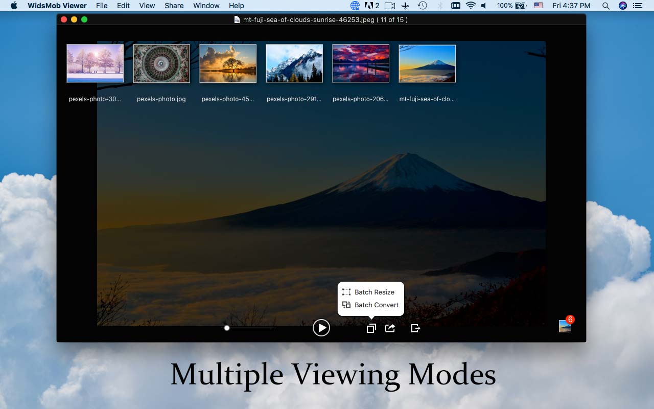 multiple viewing modes