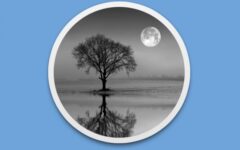 Reflect Studio – Ứng dụng chuyên tạo ảnh phản chiếu tuyệt đẹp