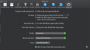 safari-setting-1-300x168-1 Tuỳ chọn Safari