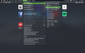 safari-setting-300x188-1 Menu Safari