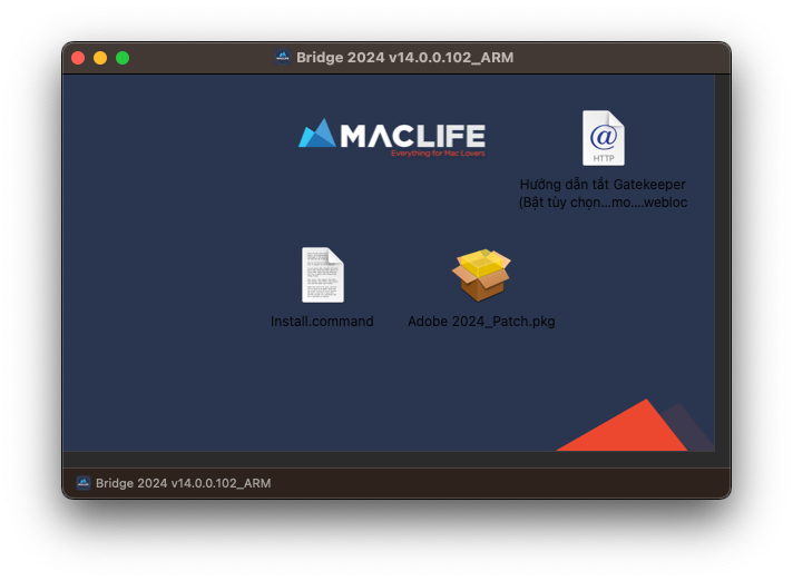 Adobe Bridge 2024 – Công cụ quản lý ảnh chuyên nghiệp