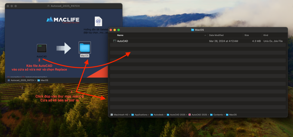 Autodesk Autocad 2025 – Phần mềm thiết kế đồ họa 3D trên Mac