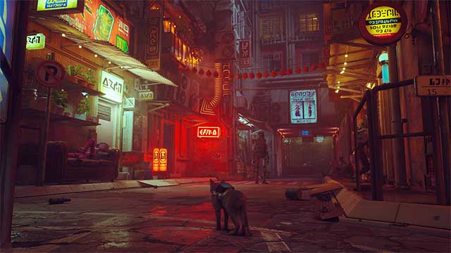 Stray – Mèo hoang phiêu lưu trong thế giới Cyberpunk