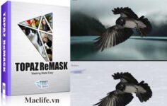 Topaz ReMask Prime – Plugin hỗ trợ tách nền nhanh và mạnh