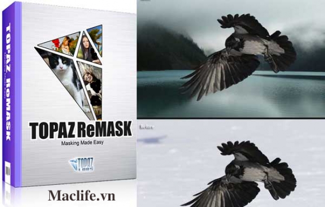 Topaz ReMask Prime – Plugin hỗ trợ tách nền nhanh và mạnh Topaz ReMask Prime – Plugin hỗ trợ tách nền nhanh và mạnh