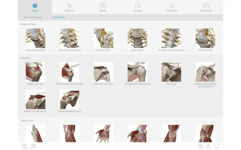 Visible Body Muscle Premium – Phần mềm giải phẫu 3D cho ngành y