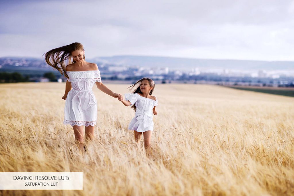 Davinci Resolve LUTs – Bộ 20 Luts màu đẹp