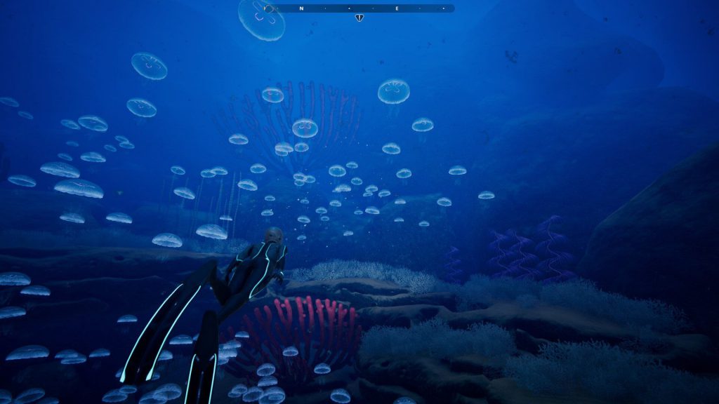 Beyond Blue – Phiêu lưu khám phá đại dương bí ẩn